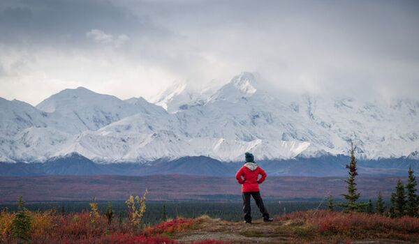 Der Denali bietet beste Fotomotive und gehört zu den Top 10 Sehenswürdigkeiten Alaskas