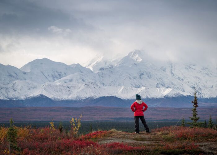 Der Denali bietet beste Fotomotive und gehört zu den Top 10 Sehenswürdigkeiten Alaskas