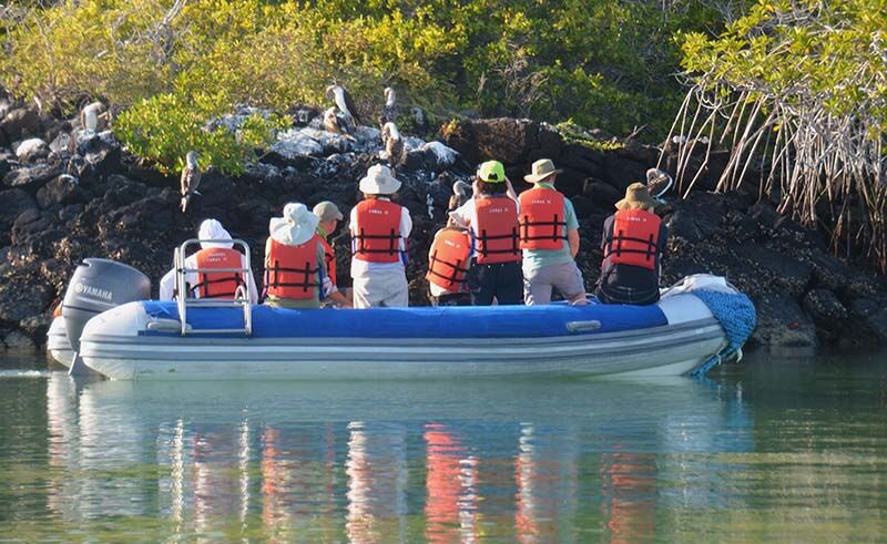 Mit dem Begleitboot geht es ganz nah an die Blaufußtölpel heran