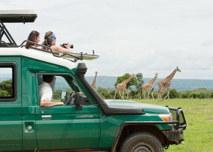 Bei einer Jeep-Safari durch den Murchison Falls Nationalpark auf Tierbeobachtung