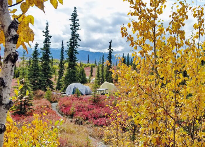 Trekking und Zelten in Alaska inmitten der Natur mit Tierbeobachtungsmöglichkeit