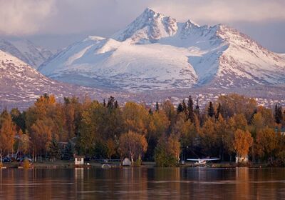 Im Denali Nationalpark ist es leicht Grizzlies, Elche, Karibus und Dallschafe zu beobachten