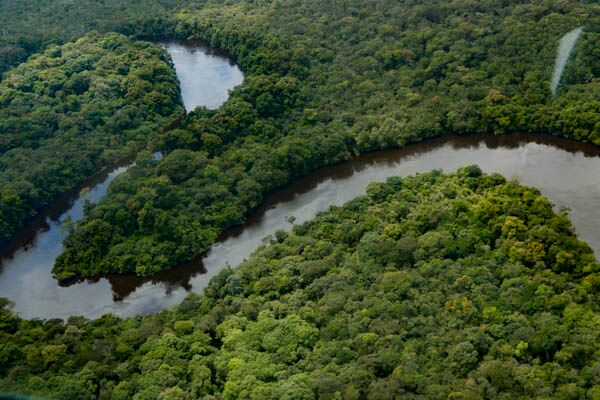 Regenwald und Dschungel erkunden bei einer Suriname und Guyuana Reise