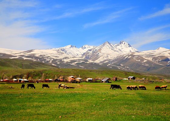 Bei der Armenien-Reise wandern wir am Fuße des Aragats Vulkanes