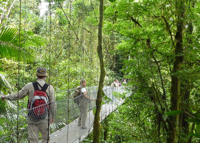 In Costa Rica gibt es zahlreiche Möglichkeiten für Hängebrückenwanderungen