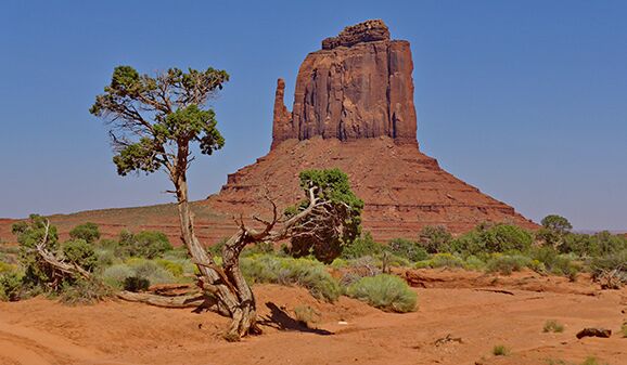 Im Monument Valley erleben wir die verschiedenen bekannten Felsformationen, wie z.B. den East Mitten Butte.