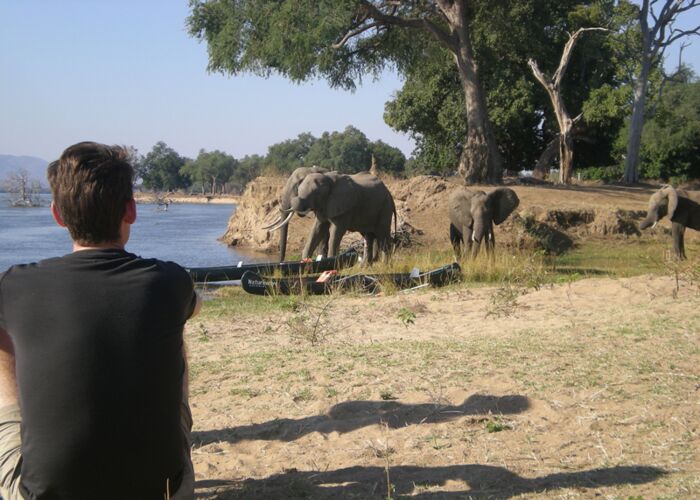 Bei der exklusiven Bootstour am Zambezi-Fluss beobachten wir Elefantenherden