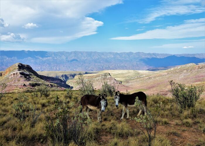 Der Torotoro Nationalpark ist ein Highlight für Aktiv-Urlauber in Bolivien