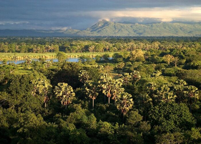 Der Liwonde Nationalpark ist ein Paradies für afrikanische Wildtiere