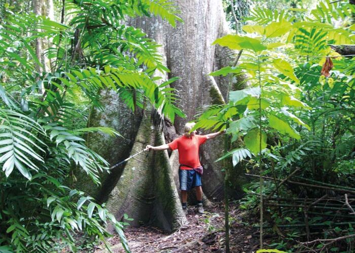 Wanderung durch den Dschungel des Amazonas mit ortskundigem Führer