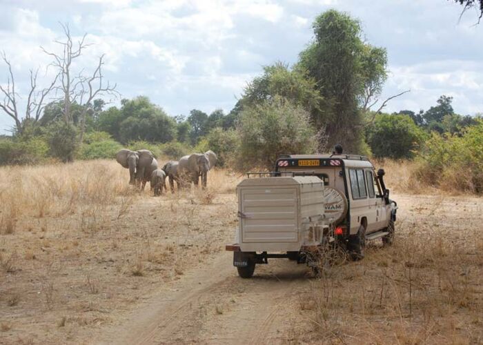 Die beste Reisezeit für eine Safari im Ruaha Nationalpark ist von Juli bis Oktober