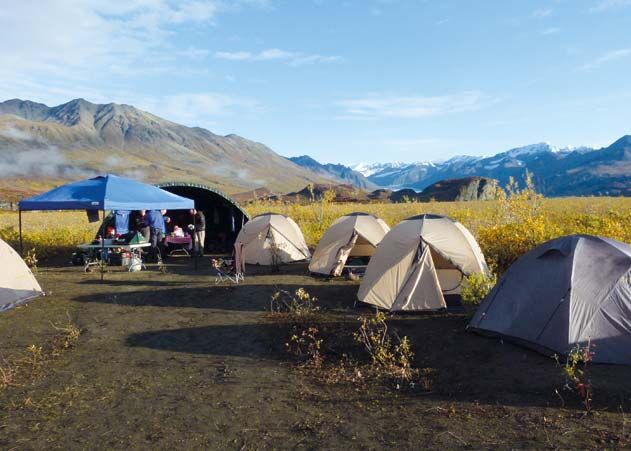 Wander und Erlebnisreise Denali Nationalpark mit Zeltcamps und Adventure
