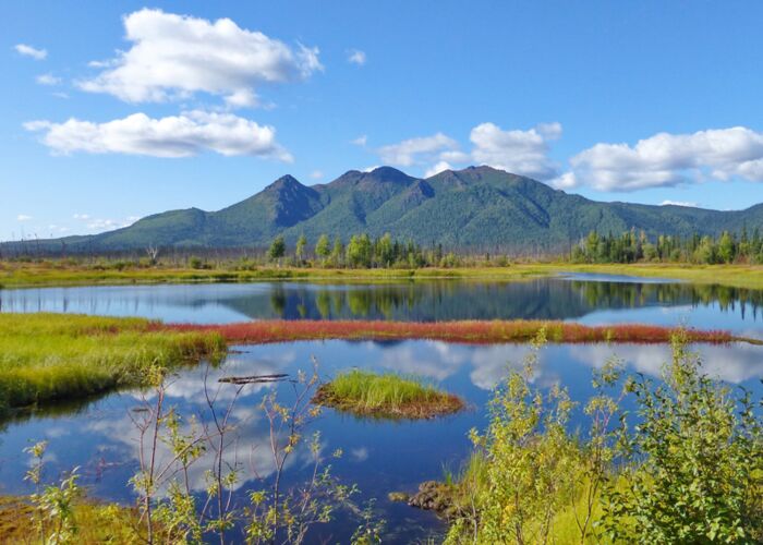 Tierbeobachtungen und Wanderungen in Alaskas Wildnis