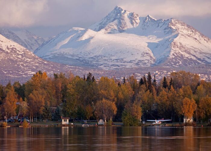 Im Denali Nationalpark ist es leicht Grizzlies, Elche, Karibus und Dallschafe zu beobachten