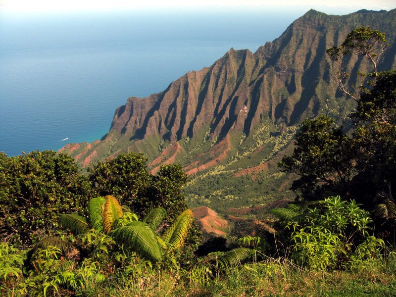 Blick auf das saftig grüne Kalalau Valley während einer Wanderung auf Hawaii