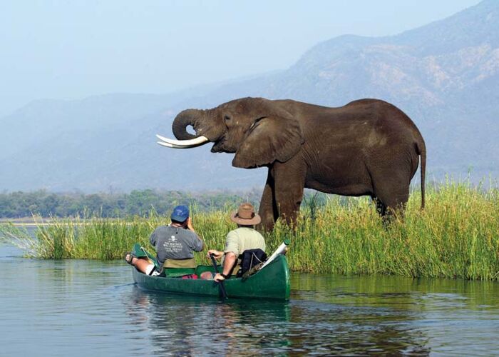 Eine besondere Möglichkeit, um Safari-Tieren nahe zu kommen ist eine Kanufahrt