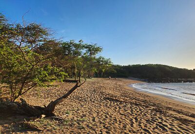 Wir erleben menschenleere Strände auf der Insel Molokai während unserer Rundreise auf Hawaii.