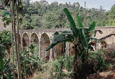 Die Nine Arch Bridge in Ella ist als eine der schönsten Sehenswürdigkeiten Sri Lankas bekannt.