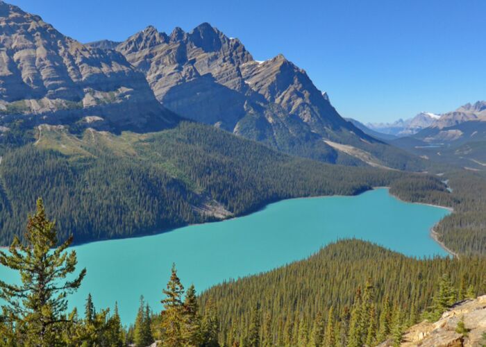 Der Peyto Lake ist ein beliebtes Ausflugsziel von Wanderern und Naturliebhabern