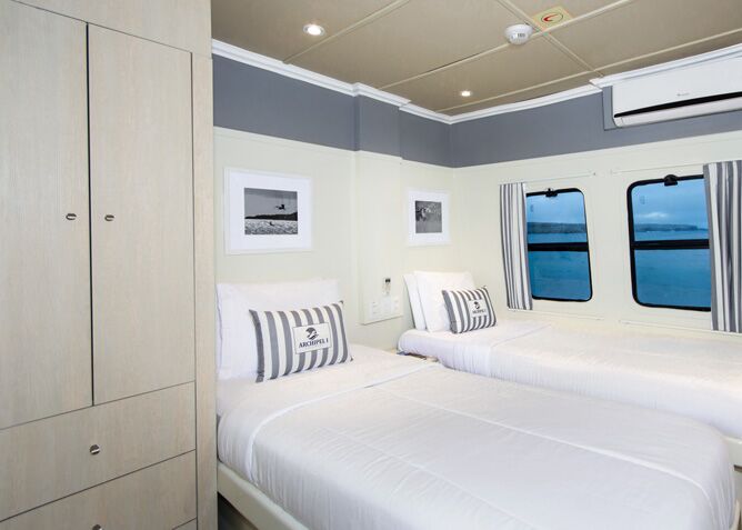 Gemütliche Einrichtung in der Twin Kabine auf dem Galapagos Schiff