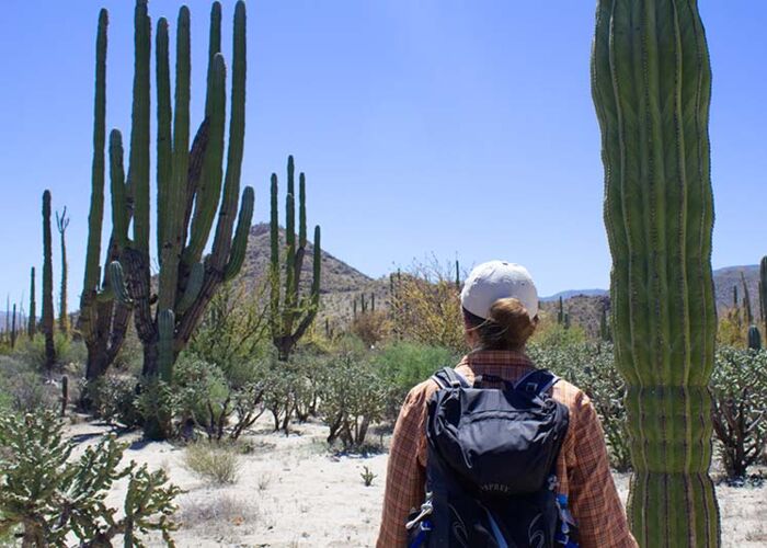 Geführte Wanderung durch das Valle Montevideo