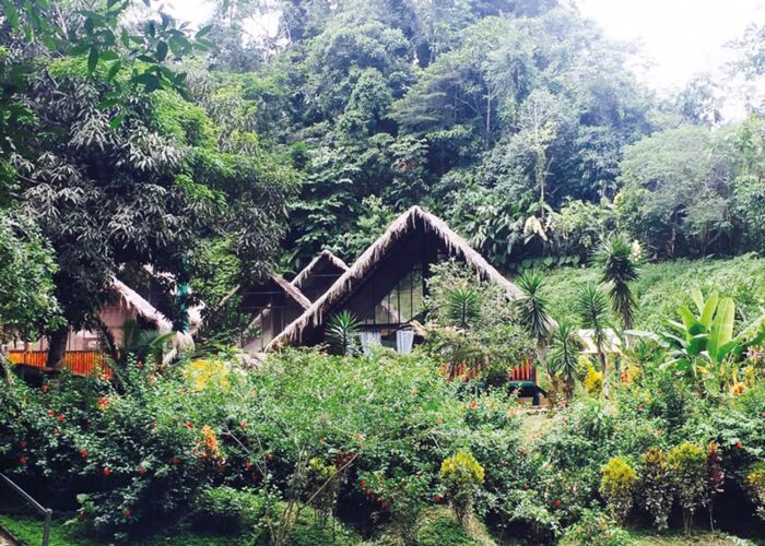 Von der Yacuma Lodge aus hat man zahlreiche Ausflugsmöglichkeiten