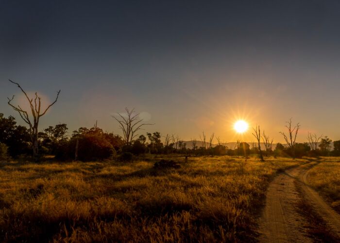 Auf der Zimbabwe-Safari unternehmen wir eine Fußpirsch und eine Wanderung
