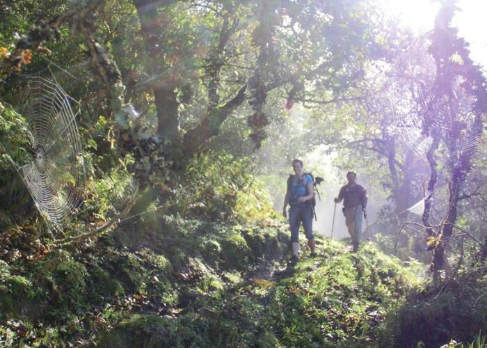 Mit Bergführer unterwegs vom subtropischen Regenwald des Nationalparks Calilegua über den 3.000er Pass Rumy Cruz bis zur Quebrada Humahuaca