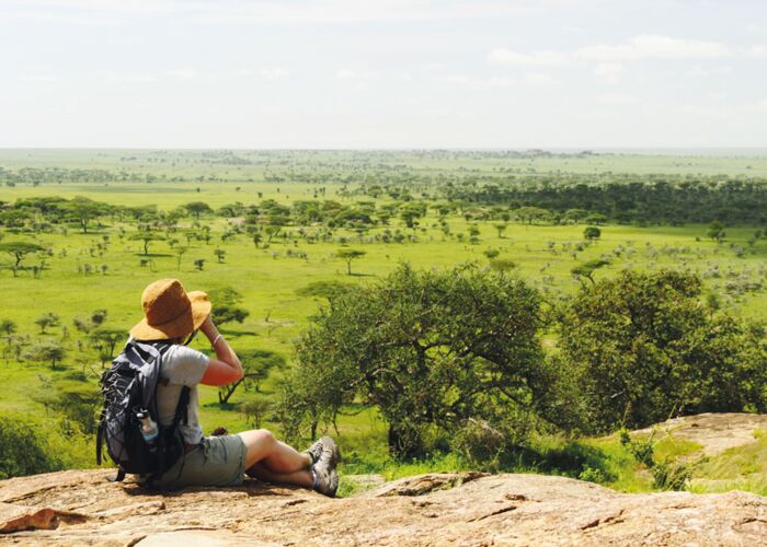 Auf einer Privatsafari die Serengeti entdecken