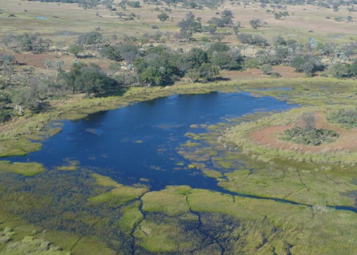 Im Okavango Delta bietet es sich an, mit einem Buschflieger das Delta von oben zu erleben