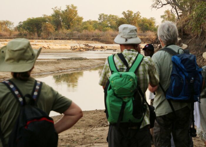 Besonders gut für Tierbeobachtung ist eine Safari am Flussufer des Lower Zambezi