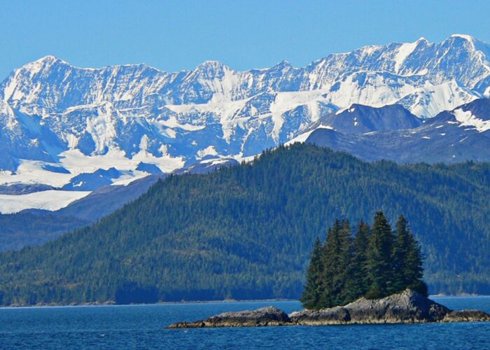 Ausflug und Bootstour zu den Gletschern des Glaciar Bay Nationalpark