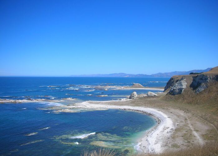 Eine der schönsten Küsten in Neuseeland ist in Kaikoura