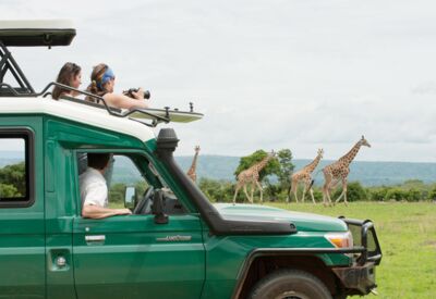 Bei einer Jeep-Safari durch den Murchison Falls Nationalpark auf Tierbeobachtung