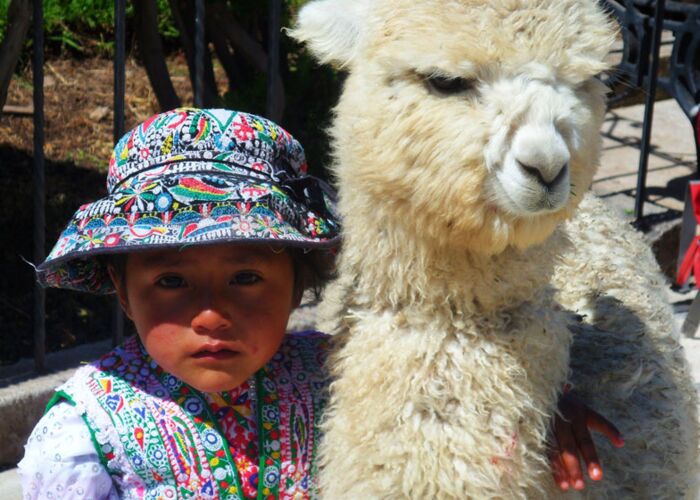 Stadtbesichtigung und Markttag in Arequipa Peru