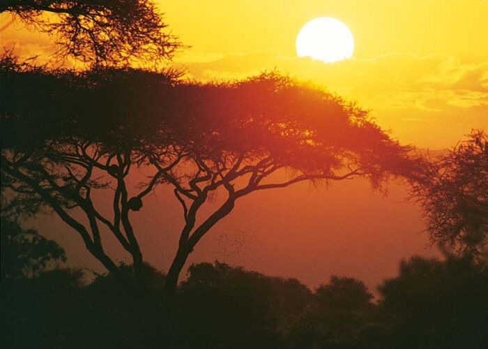 Traumhafte Sonnenuntergänge erleben wir auf der geführten Südafrika-Safari