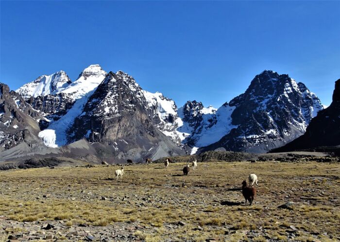 Aufstieg auf den Pico Austria mit der Trekkinggruppe und Guide