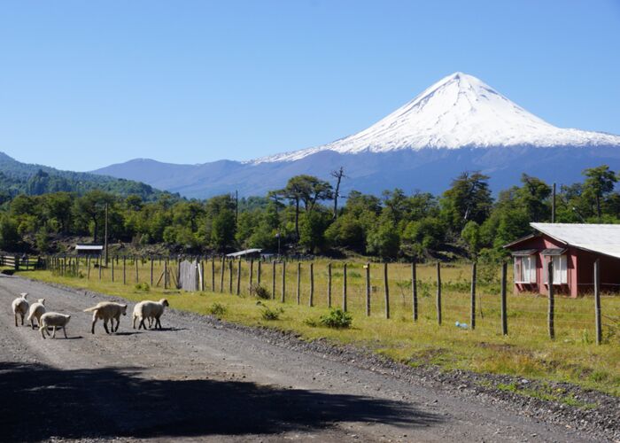 Abstecher bei der Trekkingreise in das Gebiet um Osorno