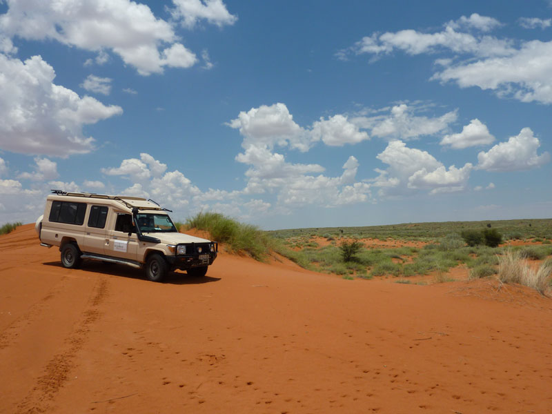 Mit Allradfahrzeugen und Reiseleiter durch die Kalahari