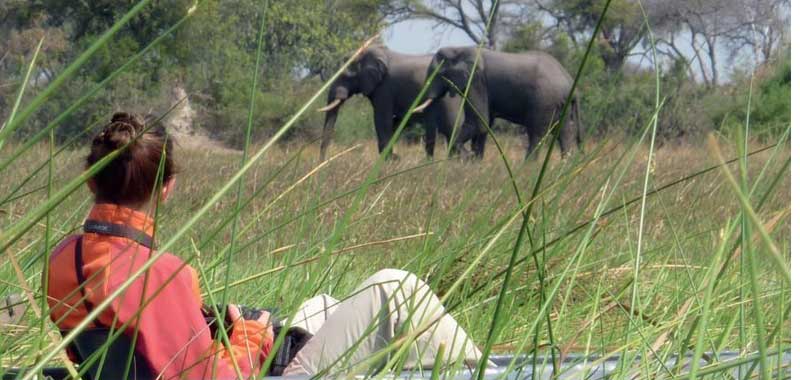 Bei der Safari in Botswana unternehmen wir per Kanu eine Tierbeobachtungssafari