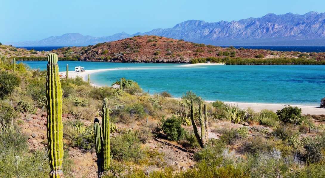 Die Baja California hat ausser Kakteen eine wunderschöne Flora und Fauna zu bieten.