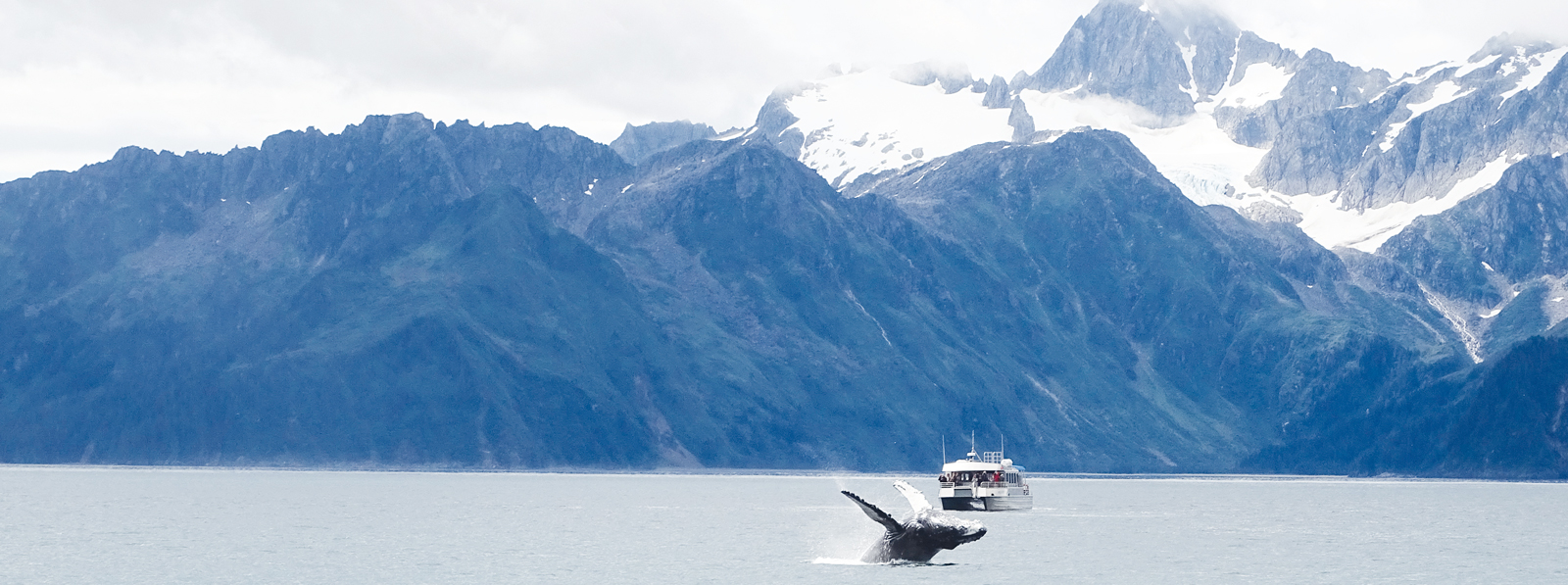 Auf der Rundreise durch Alaska unternehmen wir einen Bootsausflug im Kenaj Fjords Nationalpark