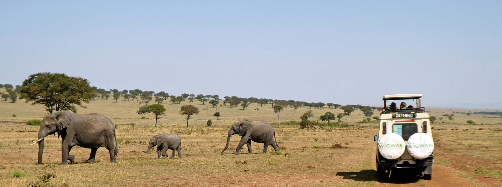 Auf Safari mit Spezialfahrzeugen und Reiseleiter durch die Serengeti